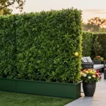 Geniet van levendige leafely kunsthagen die de esthetiek van je buiten tuin verbeteren met weelderig groen en stijlvolle meubels.
